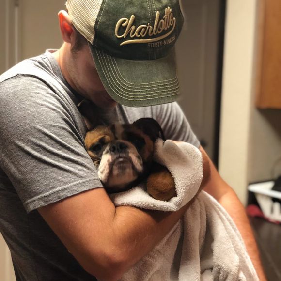 Meet your Posher, David - Picture 1 of 1